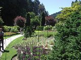 22 - Butchard Gardens  - IMGA0260